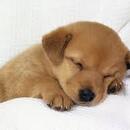 Valentina Méndez Rodríguez