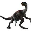 DIEGO RAFAEL  GAMBOA MONDRAGÓN