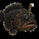 Aya-Playa con la toalla 