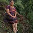 Mercedes Suar