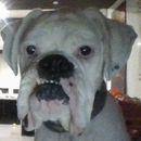 Angelsito 999 SUPER PRO👻 