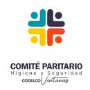 Comité Paritario de Higiene y Seguridad Codelco Ventanas