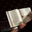 Israa Almuhammady