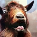 Huracán de Cabras que gritan