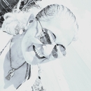 Teresa Leitão