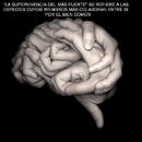 MARIA DE JESUS MORAN - CASTRO