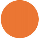 Flashlight Insight