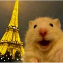 HENRY ARNOLDO ORTEZ PÉREZ