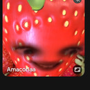 ebony amacoria