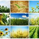 Maria Victoria Velasquez