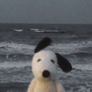 Mon 