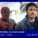 Ivan pollito