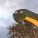 Johel vergara garcía