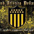 maicol arce