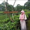 Dini Pristiana