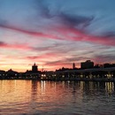 María Mercedes Jiménez Alonso