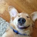 Vanessa Laguna García