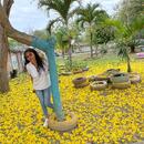 Diana Carolina Campo Cevallos