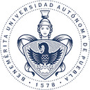 Dr. A. Yair Tenorio Barajas