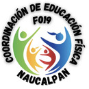fisica f019 coordinacion