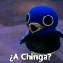 Hector Chavez