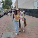 Lindsay Chávez Garro