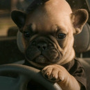 walter Chato