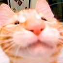 Dayitz :3 (｡･∀･)ﾉﾞ