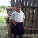 Dania 