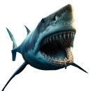 mentalidad🧠 de tiburón🦈