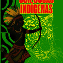 Son Cosas Indígenas