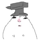 se-in pro