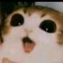 REYNALDO EMILIANO CAMPOS ACOSTA