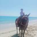 EVELYN ARIANA QUISPE TORIBIO