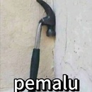 Rysha Cihuy