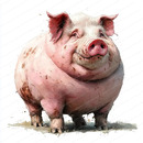 Lluc Ventura Contreras