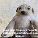 Jeyson QM