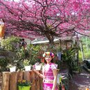 Teacher Belle Tsai
