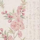 María José Arteaga Contreras 