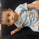 dais farida