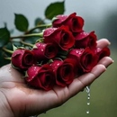 لیلا بهره ور