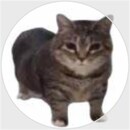 Óscar Alonso Ferreiro