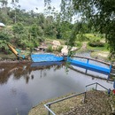 Segundo ushap 