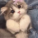 Дарья Данилова