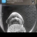 Benja 