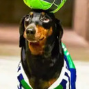 Arnau Triado Florido