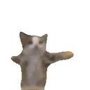 Antonio José Zubieta Quiroz