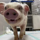 🌸Judith Sanchez🌸