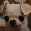 Dylan Sepa :) 