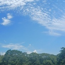 Raynell Emilio Taveras Ogando